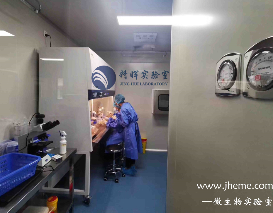 潔凈/微生物/無菌實驗室